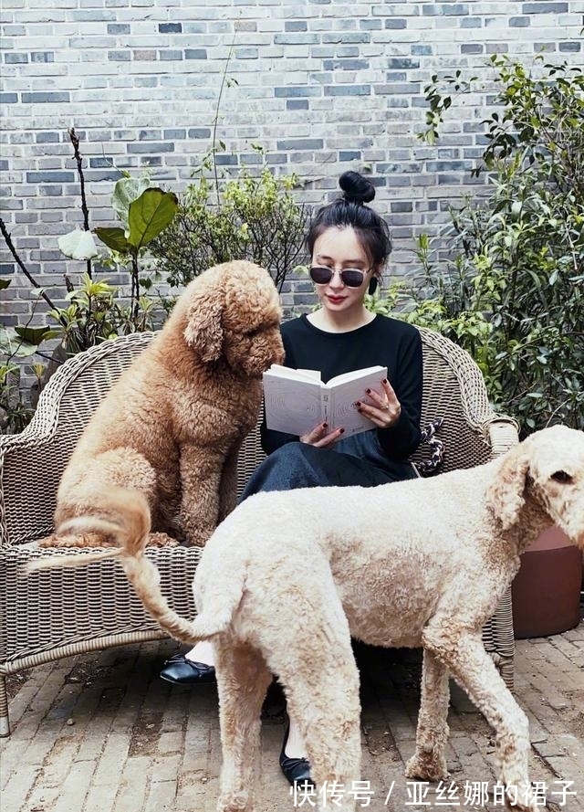 刘芸|岁月不饶人,这部剧多年前曾万人空巷,如今12位女演员境况悬殊