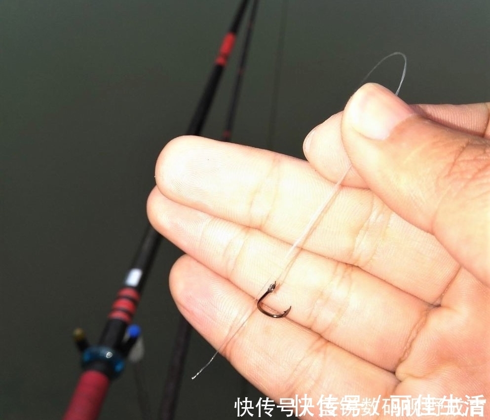 线组|钓到大鱼不切子线，却切主线是何道理？子线缠绕打结怎样解决