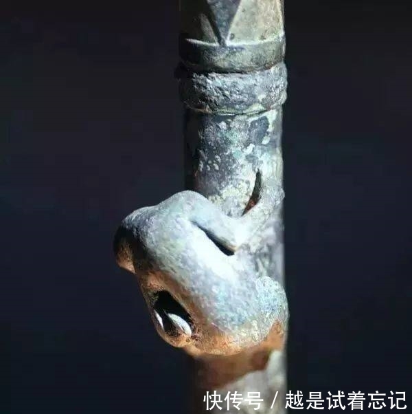 文物|猴非猴、鸟非鸟,这件文物“藏”得很深!