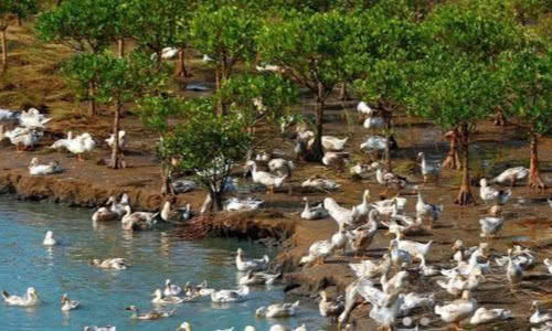 美食|继老干妈后,中国又一美食被“央视表扬”,网友:夏天吃最合适!