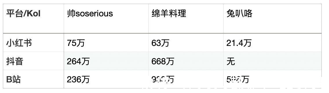 koc|小红书的铠甲即软肋