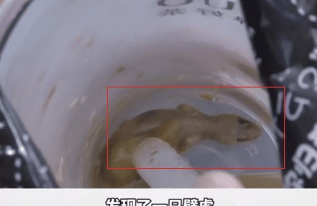 奶茶|给孩子点奶茶外卖,半天吸不上布丁,打开发现布丁全在死壁虎上
