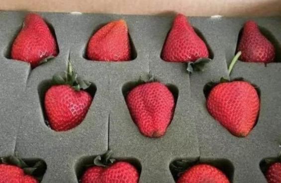 超市|超市里过度包装的食物,忍了草莓,忍了香蕉,看到可乐不淡定了