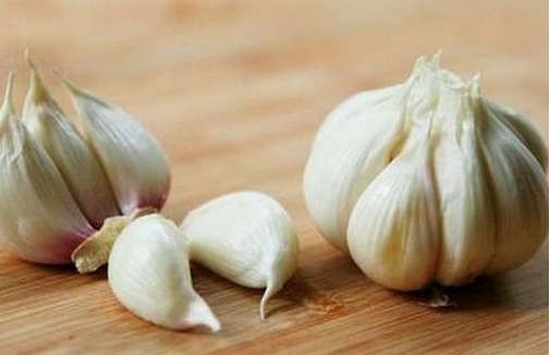 家里都能找到的以下5样东西,拿来养花叶绿花艳还防虫,一招搞定