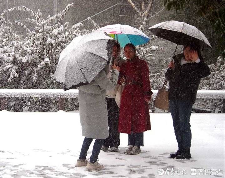 下雪|立冬下雪太好玩了，山东师大学生们玩疯了