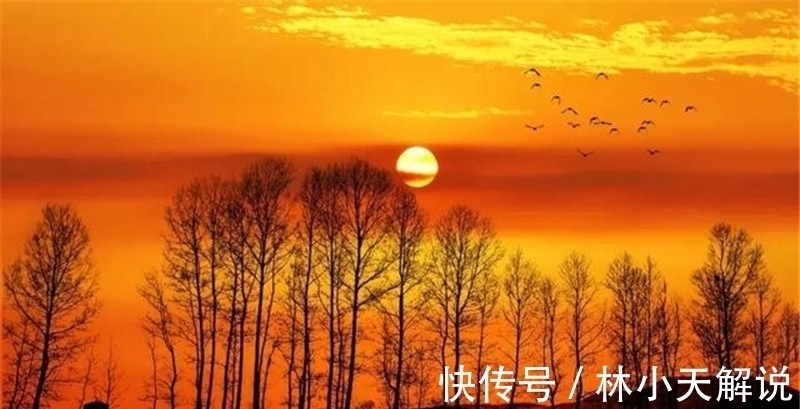 悲秋!寒露,在诗词中感受凉凉的秋意,赏析范仲淹的千古名篇《苏幕遮》