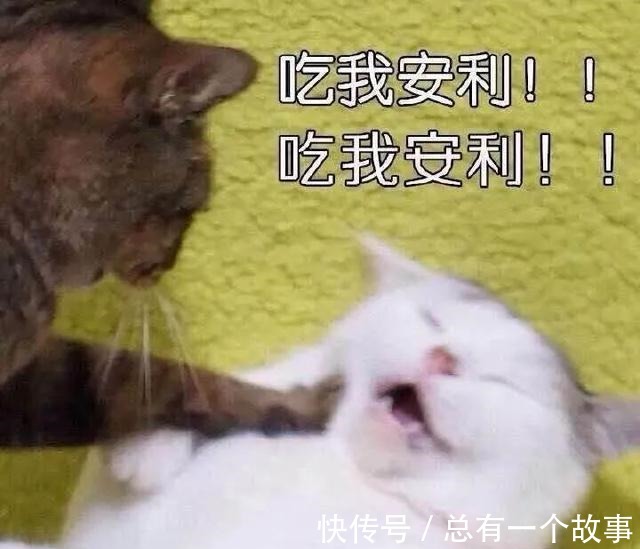 面霜 你的秋冬面霜上白名单了吗这几款太好用啦!