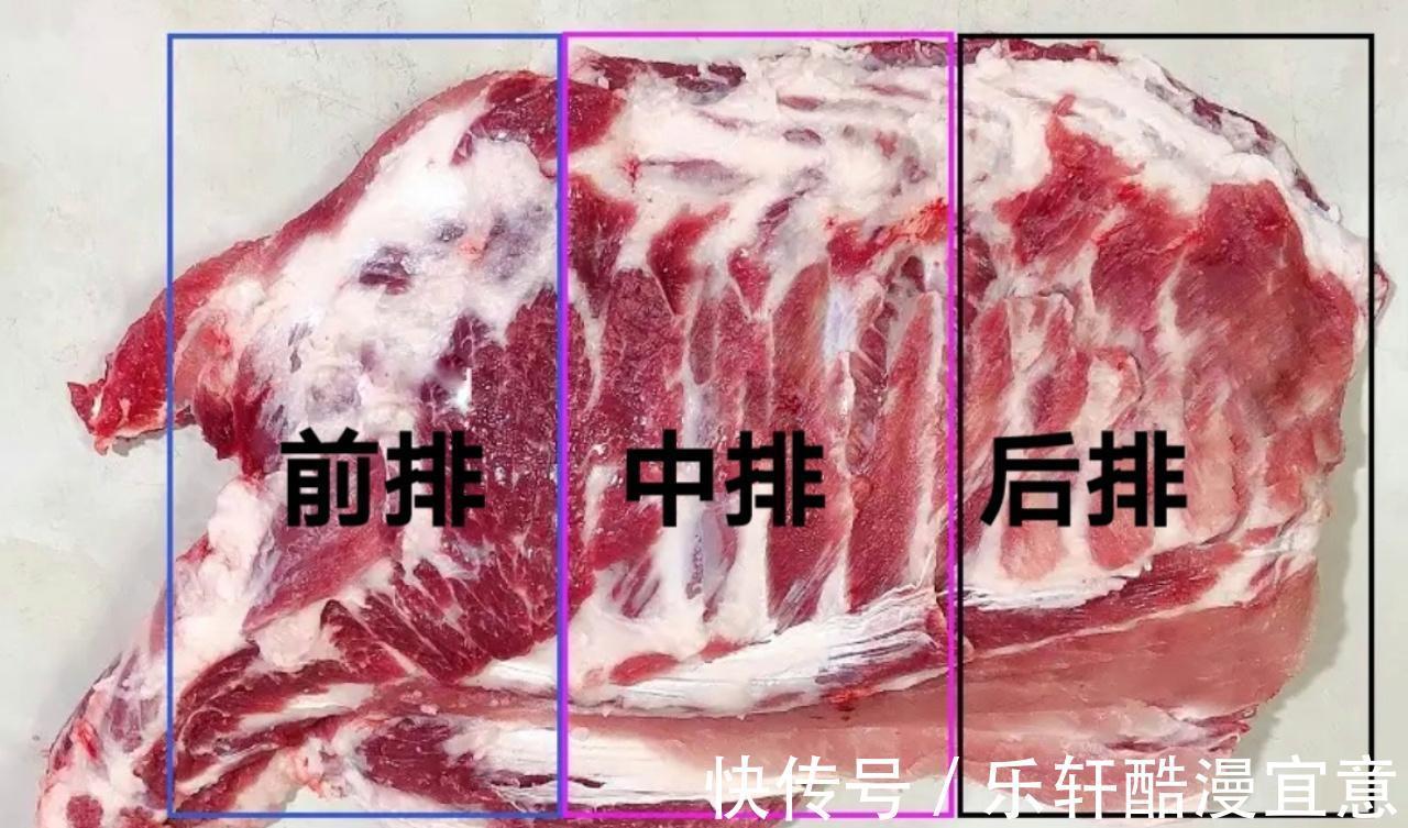 排骨|原来排骨还分“前排”和“后排”！肉感差别大，建议你弄懂再买