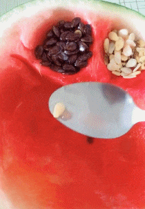 无知|“人在医院能无知到何种程度?”哈哈哈哈哈