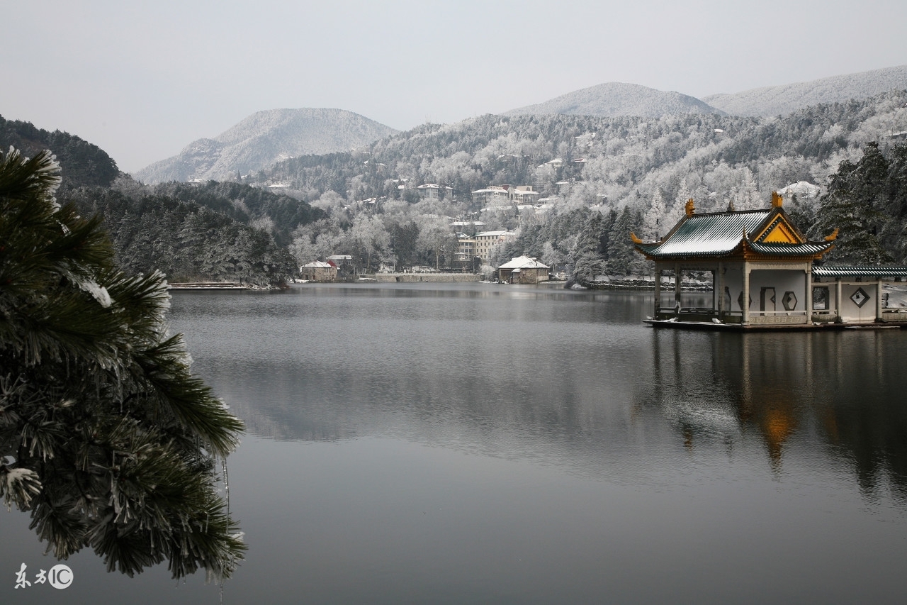 3大生肖|10·31-11·30 运势达巅峰，财运也大红大紫，必福禄双全的3大生肖