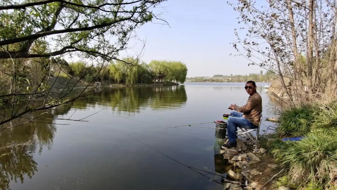 形似“屎光皮”、大如小鳊鱼,大鳍鱊不但好吃还很好钓