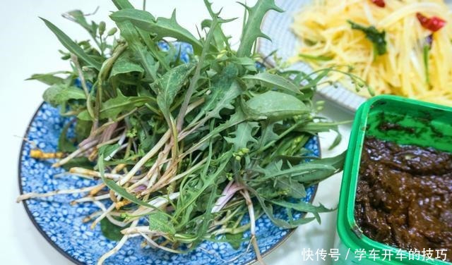 農民叫它“小人參”,鄉下看到別踩踏,采回家曬干1斤能賣80