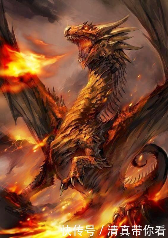 领域|斗罗大陆最强的五种领域！修罗领域第三，最后两个超越了神级领域