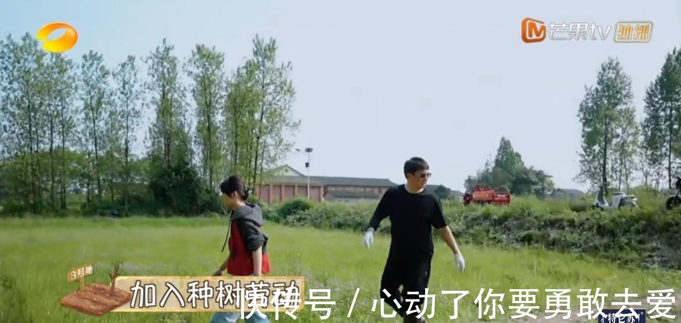 向往的生活5|《向往的生活5》集體勞動種樹,黃雅莉成功出圈,張藝興廣受好評