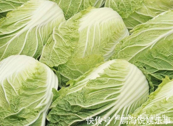 白菜好吃但不能乱吃!吃大白菜有两大禁忌,还有很多人傻傻不清楚