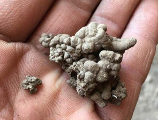 淘米水啤酒水，真不如这种水，养花一绝，浇一盆旺一盆