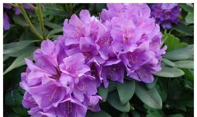 天秤座|八天后,运势大好,生活幸福美满的3星座