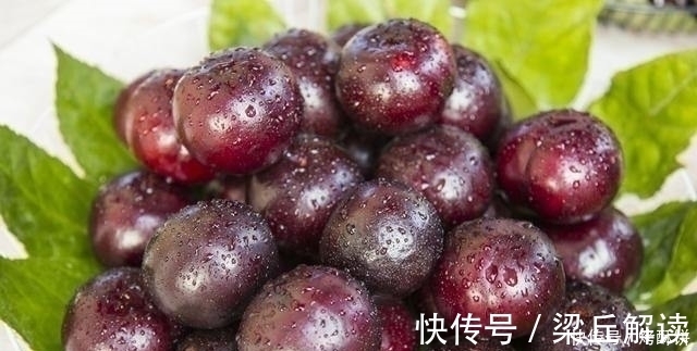 石榴|女人常吃以下3种水果，能有效的抗衰老，早知早受益