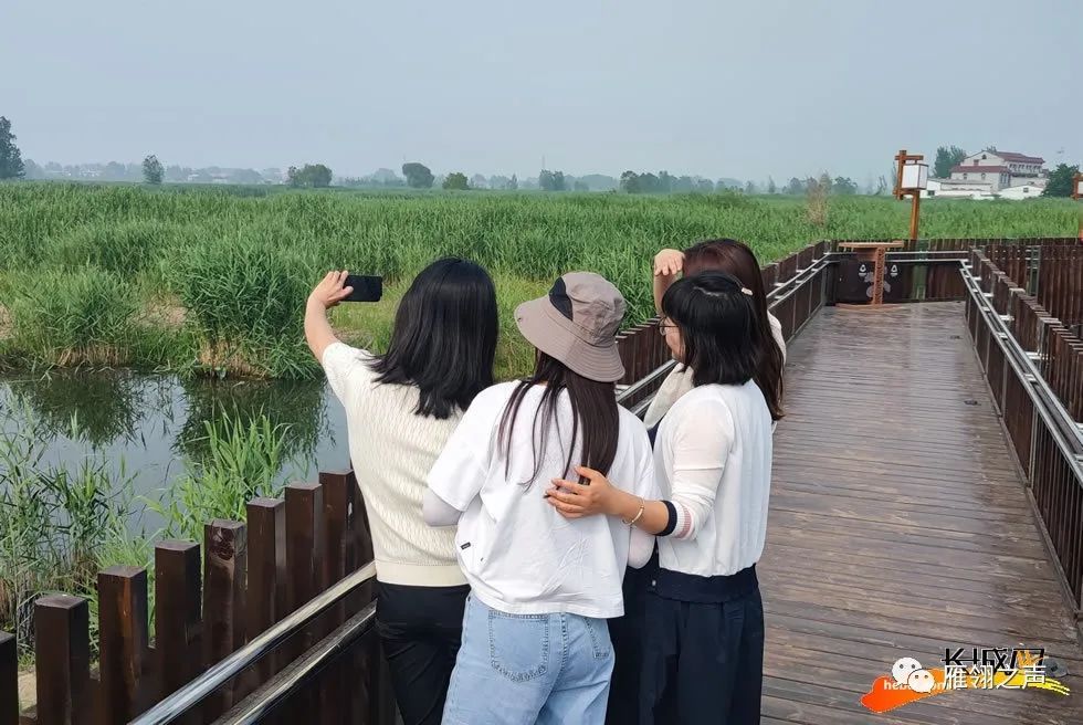 王振林|邵庄子村：“网红”水镇好风景，直播带火乡村游