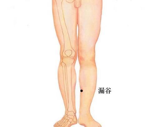 脾经|脾，后天之本！老中医带你品味人体脾经大药！补脾通络，胜吃补药