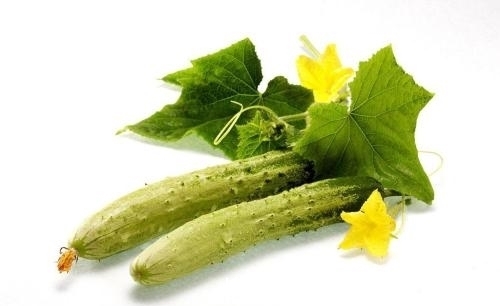 消脂素|晚餐吃什么水果减肥效果好,马上瘦起来吧