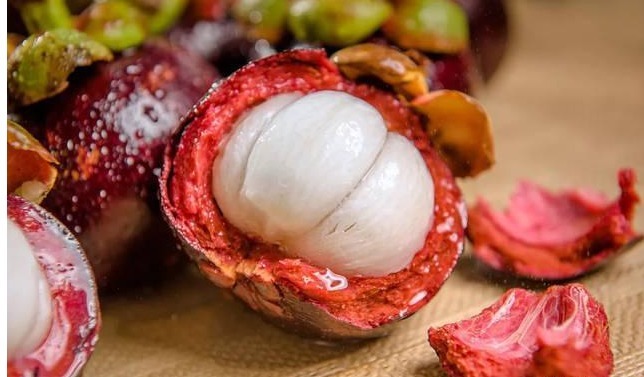 谷谷丁|7种农村常见的野菜,个个都是治病的“良药”,你吃过几个