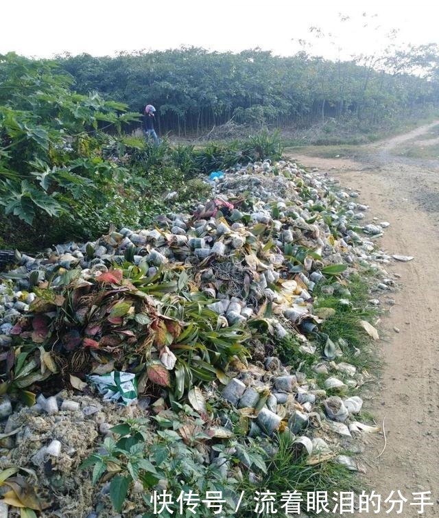 冬天出门“溜一圈”，看到“它们”捡回家，全都是养花宝贝！