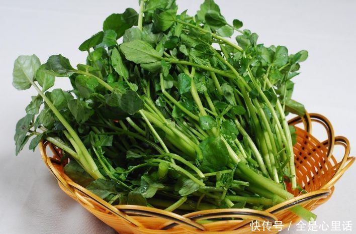 想长寿得会吃,3种食物每天吃点,健脾养胃,排