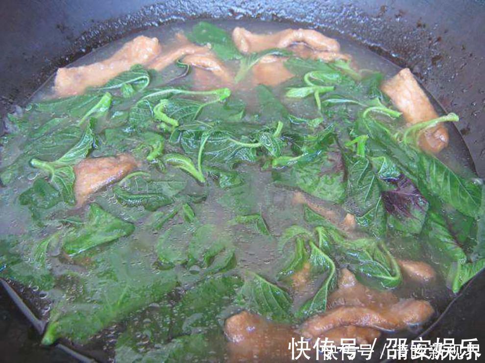 野菜|人称“长寿菜”，过去常用来喂猪，但含钙比菠菜高，见到记得摘点