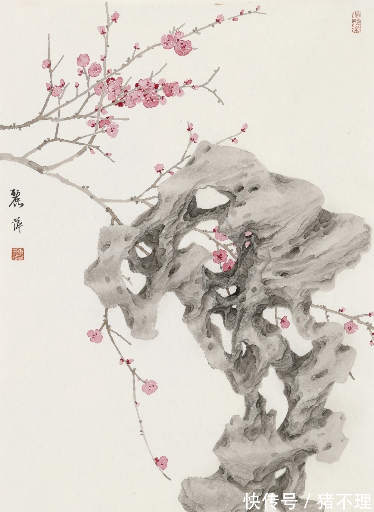 花鸟画|当代花鸟画｜张丽萍画石