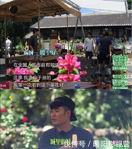 苹果|好吃懒做,伪装不懂英文却当过英语导游,陈赫为跑男背了多少锅?