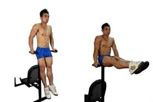 膝盖|什么动作练腹肌效果最好教练推荐4个动作，高效打造腹肌线条