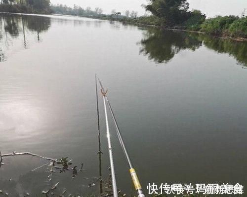 钓灵|用加粗尾浮漂野钓,调漂不对难上鱼,老钓友解析加粗尾的调钓方法