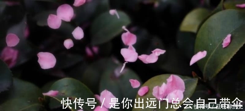 唯美@王维最唯美的一首诗,通篇短短的四句,却是美得犹如一幅山水画卷