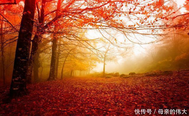 宋词里的秋:晏几道看透秋色、辛弃疾听断秋声、吴文英历尽秋意浓