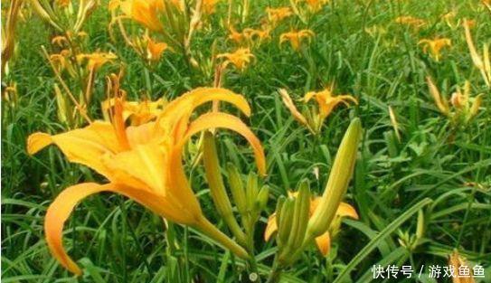 冬天女性可以坚持吃3种食物,排出毒素,净化血液,保养女性子宫