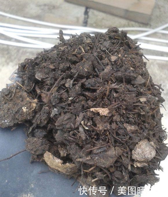 死党在农村屋顶露养多肉,好想搬几盆回家!死党在农村屋顶露养多肉,好想搬几盆回家!