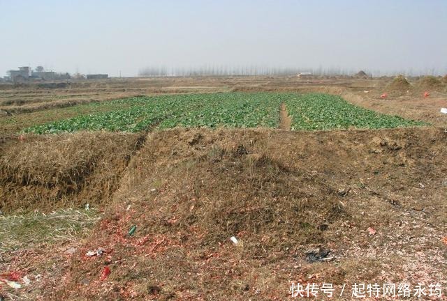  李文安|此人不顾伦理迎娶妹妹，被街坊邻居嘲笑鄙夷，却生下一子家喻户晓