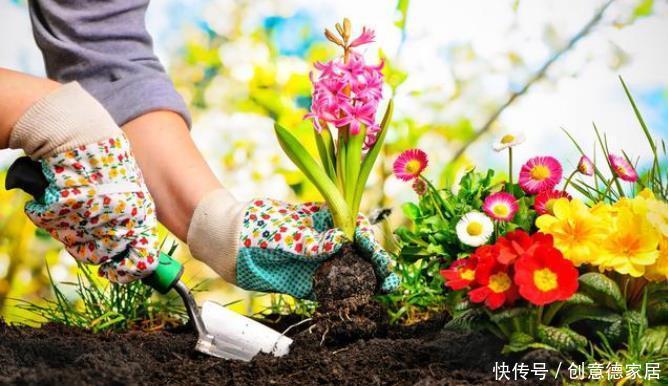 些人喜|养花人都有的5大通病,占到3条,你已经是一个资深花迷了