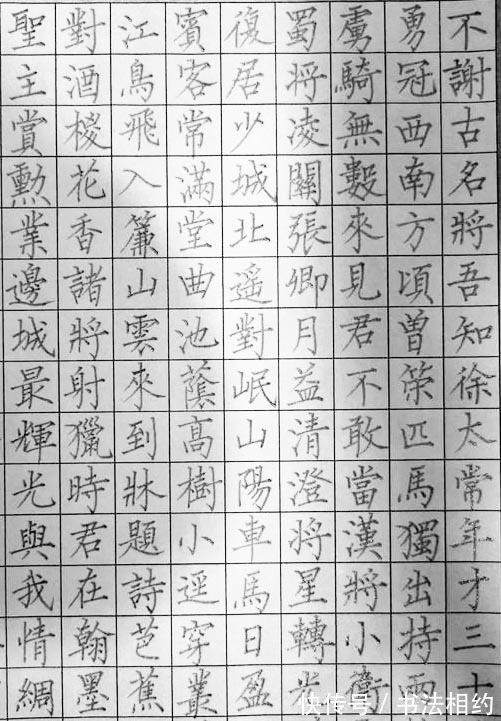 高手$太任性!高手用柳楷笔意写硬笔书法,瘦硬通神,笔笔送到,佩服