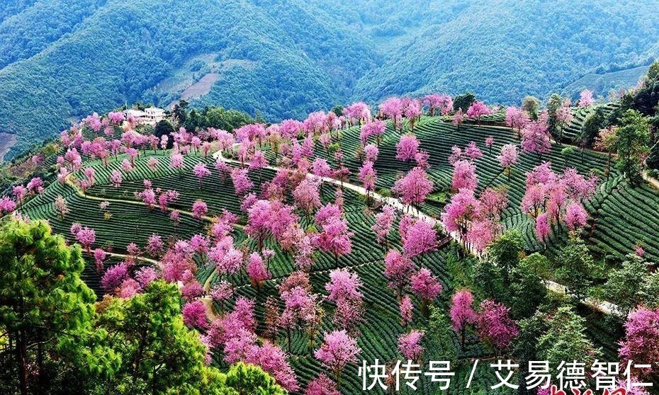 脚婆$如何用古诗文形容一个人丑, 杀伤力太大了!