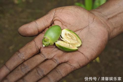 医生多次提醒：高血压人群万不能碰2种水果，吃了只会加重病情