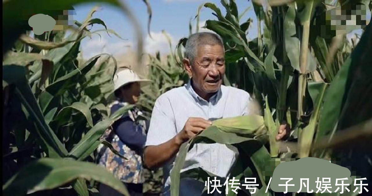 梦想改造家惹争议,花农村老人132万建了个毛坯房,网友要求退钱