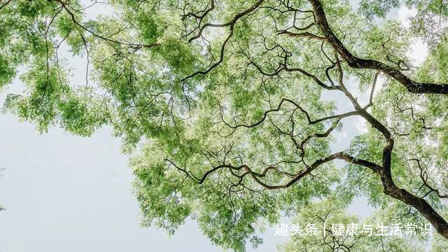 秘诀|三伏天3忌,3宜,3秘诀帮你去除湿气,健脾胃,补阳气