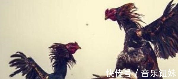 这句话$历史上十句“损人名言”, 骂人不带脏字, 没点文化可能听不出来!