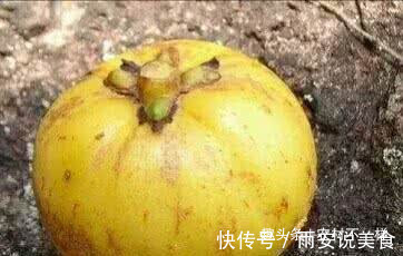 城里人|农村最好吃的5种野果，吃过4种的是农村人