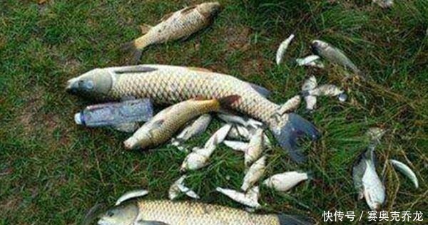 逆时针|钓鱼技巧:鲜为人知的钓鱼冷知识,看似没用,其实影响了渔获量