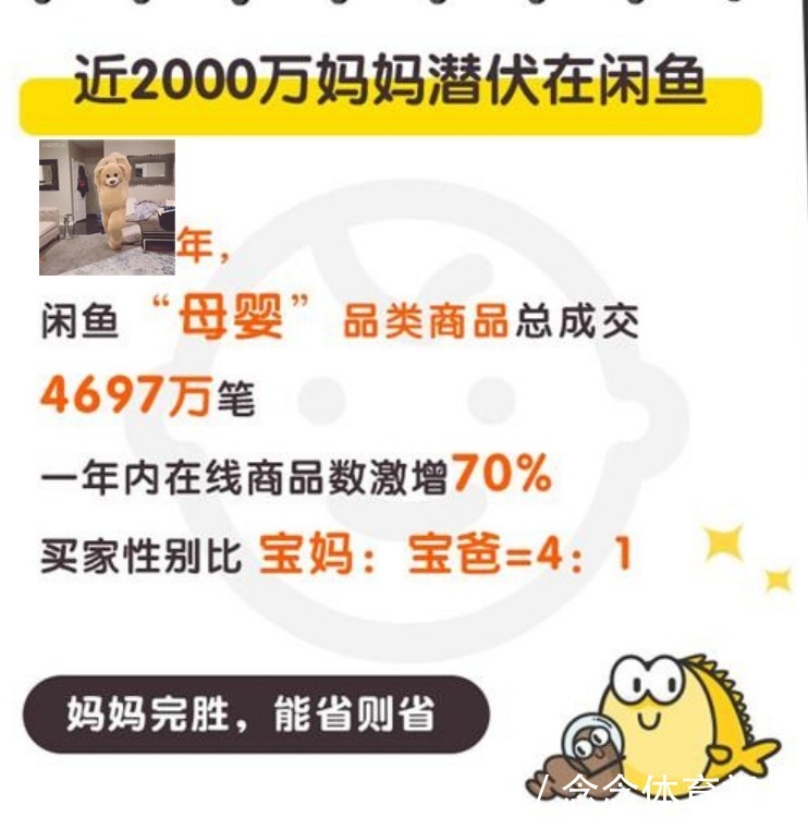 母婴|年轻人新型育儿正在兴起,“闲鱼养娃”虽实惠,陌生人AA制更叫绝