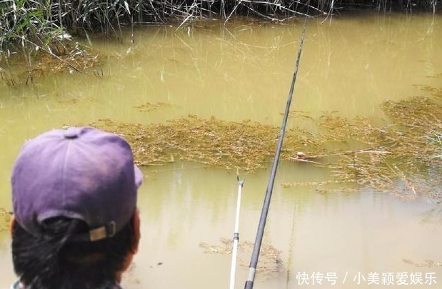 尾巴|农村小河沟中钓起一条这样的鱼, 我赶紧收杆离开这一水域