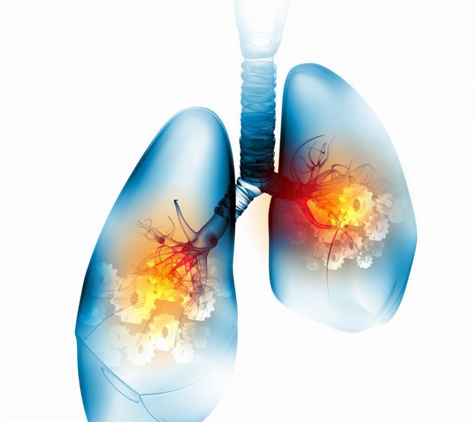 作用|黄芪补气健脾,西洋参补气养阴,哪个补气效果更好?药师说出实情